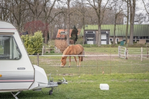 Lekker dicht bij de paarden kamperen